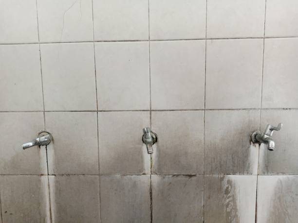 Best Sewage cleanup and water damage restoration  in Omaha, TX