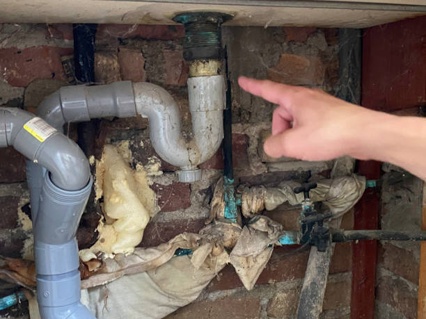  Omaha, TX Water damage restoration Pros
